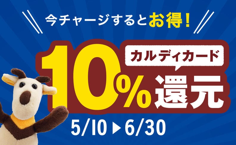 【カルディカードって？】カルディでお得な支払い方法。チャージで10%還元キャンペーンも